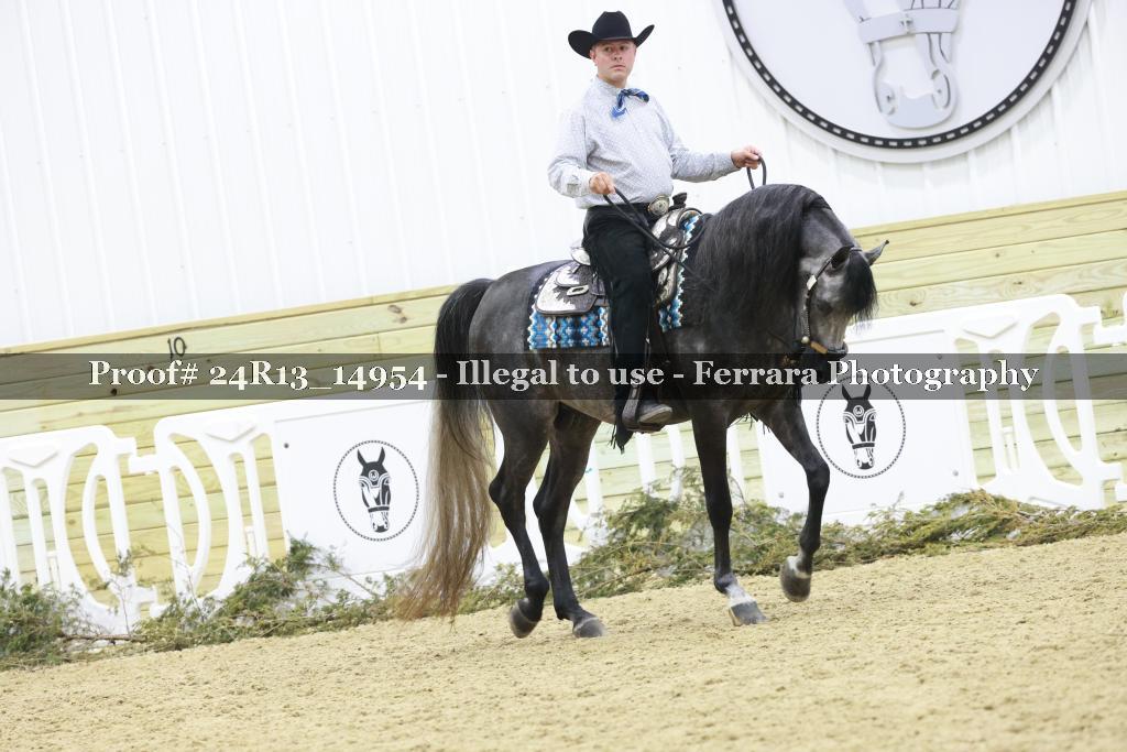 Proof 24R13_14954