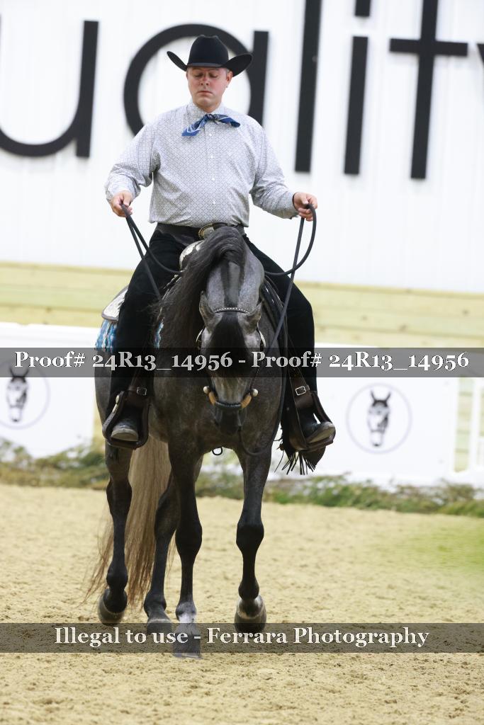Proof 24R13_14956