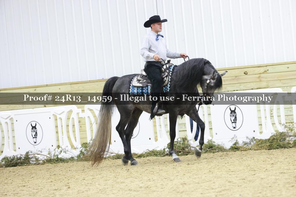 Proof 24R13_14959
