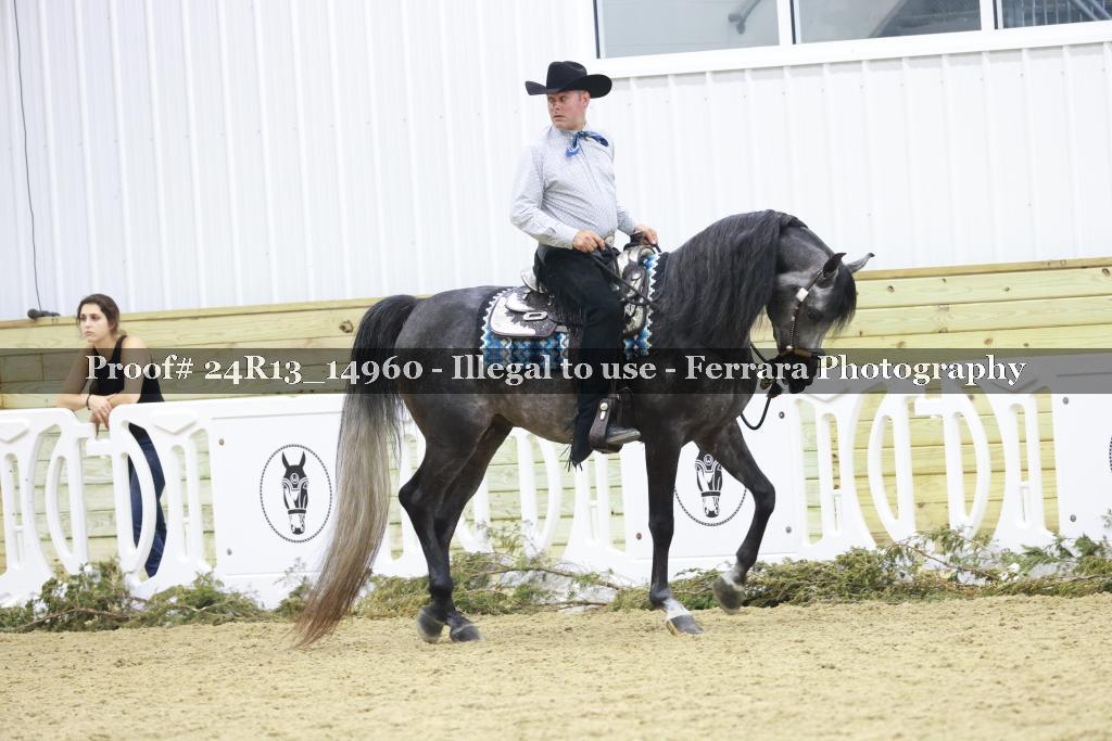Proof 24R13_14960