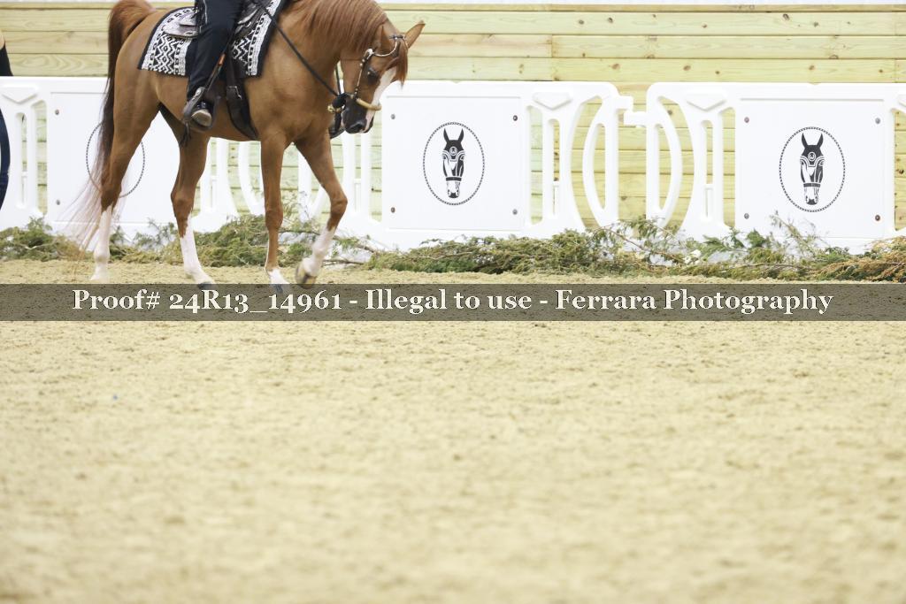 Proof 24R13_14961