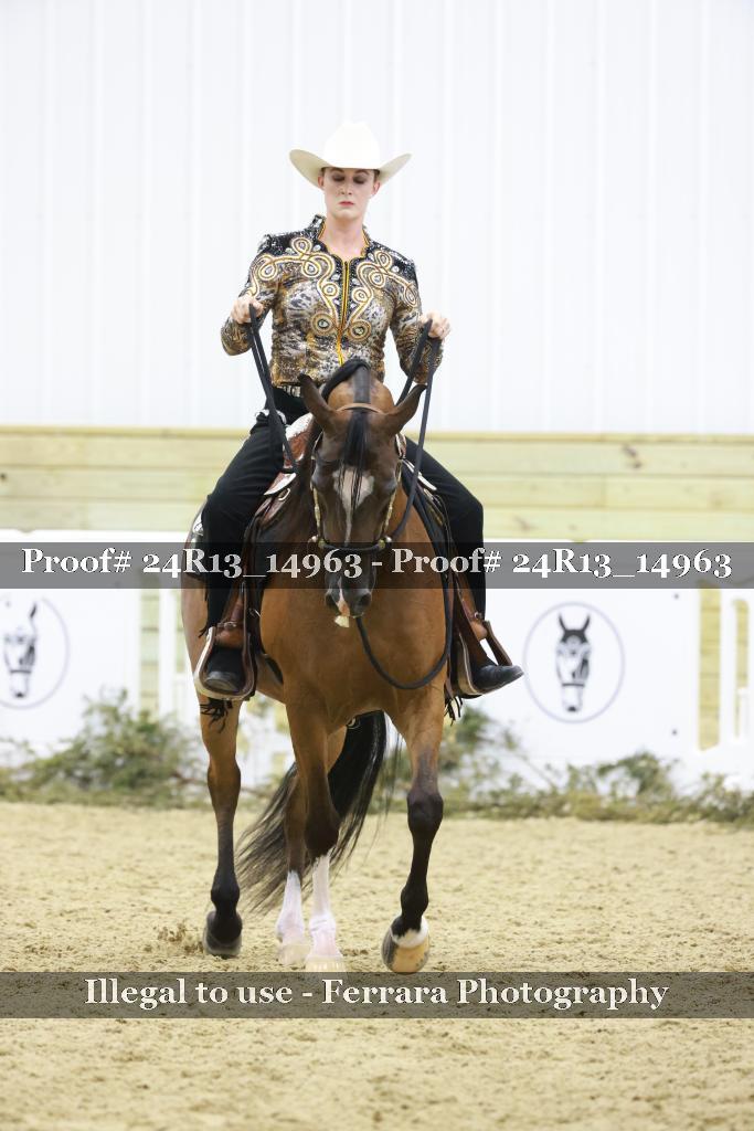 Proof 24R13_14963