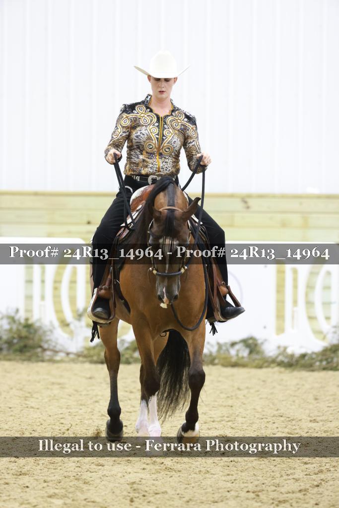 Proof 24R13_14964