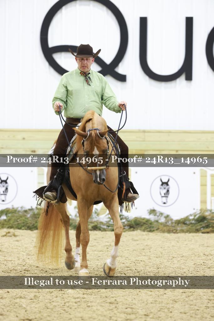 Proof 24R13_14965