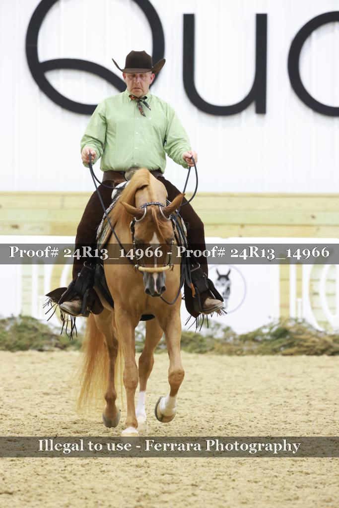 Proof 24R13_14966