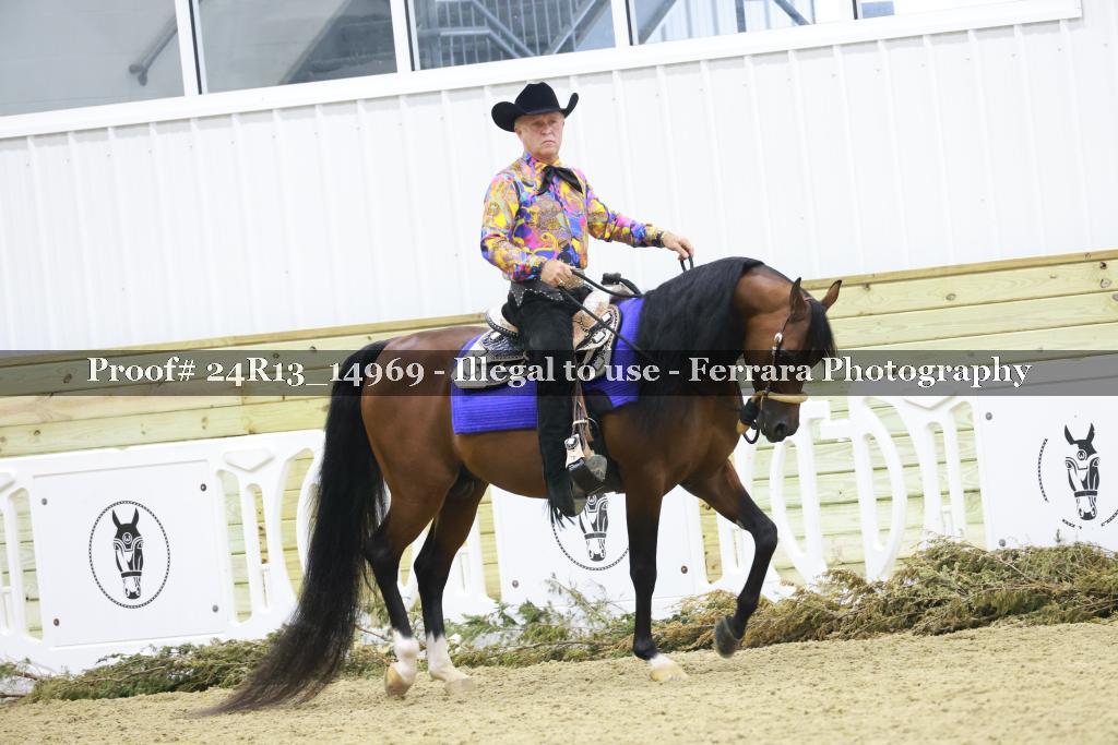 Proof 24R13_14969