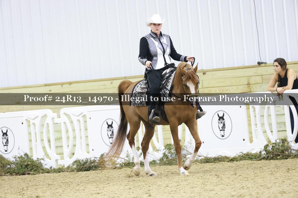 Proof 24R13_14970