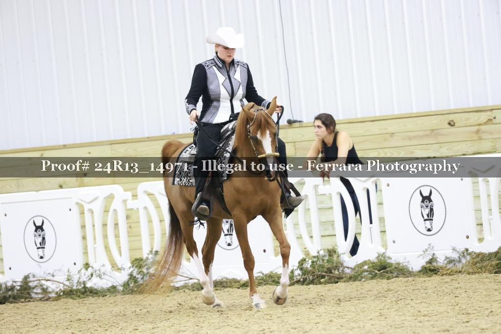 Proof 24R13_14971