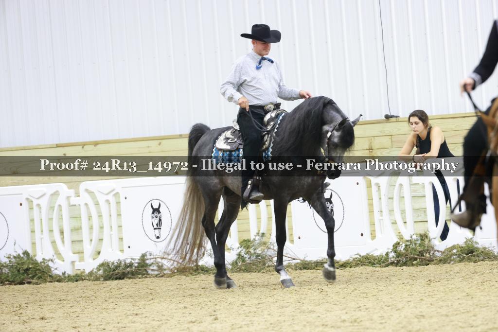 Proof 24R13_14972
