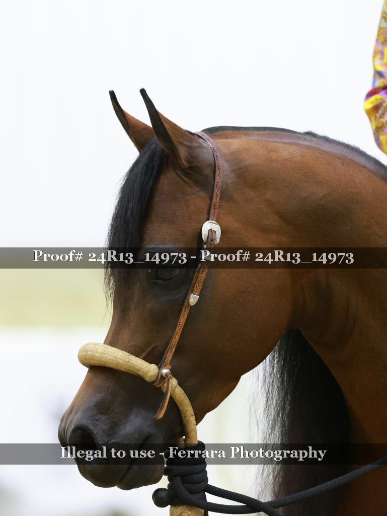Proof 24R13_14973