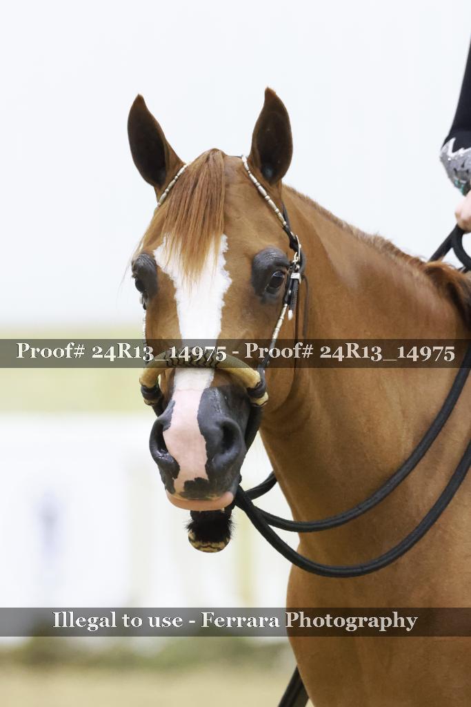 Proof 24R13_14975