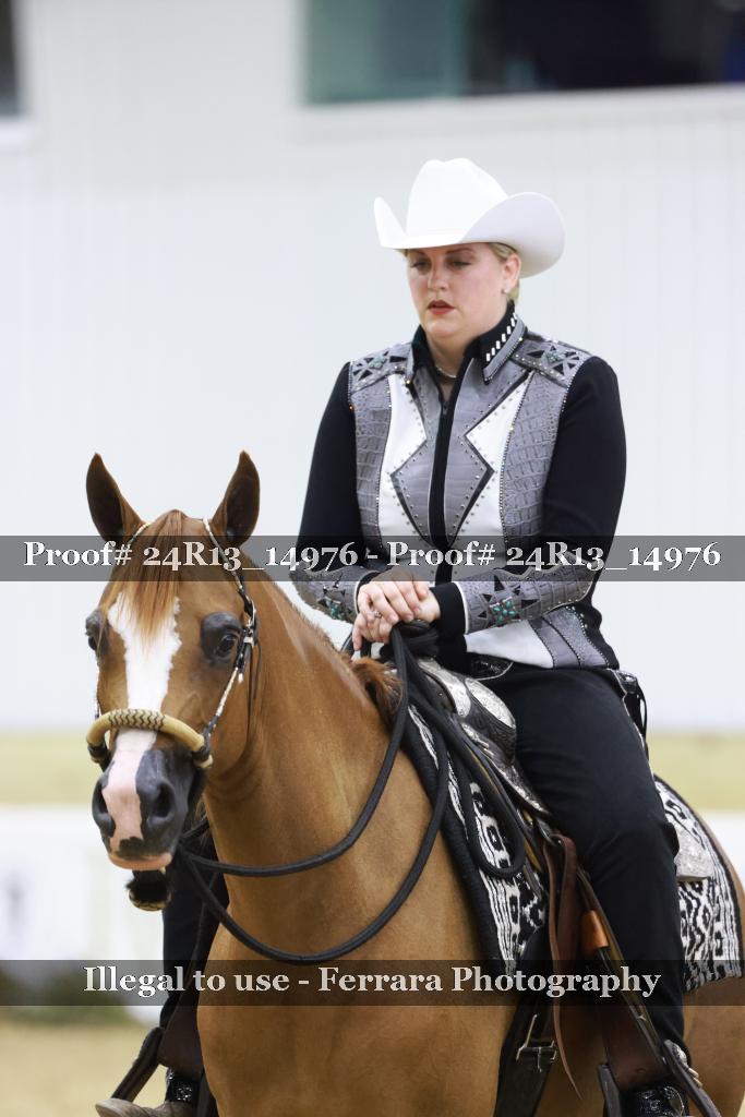 Proof 24R13_14976