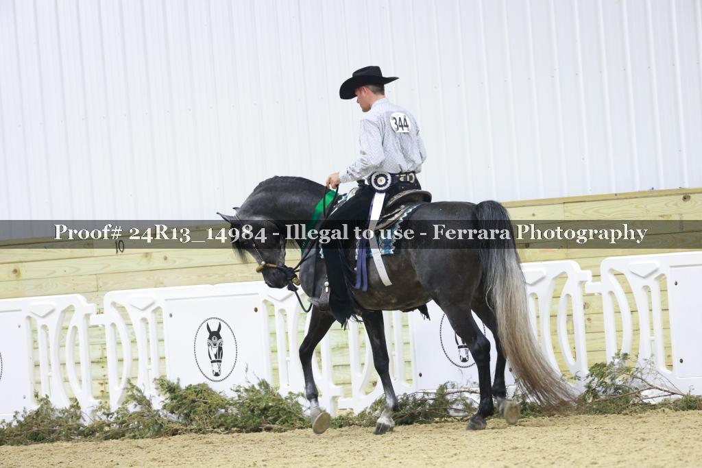 Proof 24R13_14984