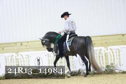 24R13_14984 proof
