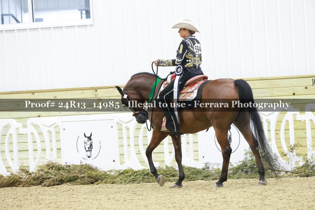 Proof 24R13_14985