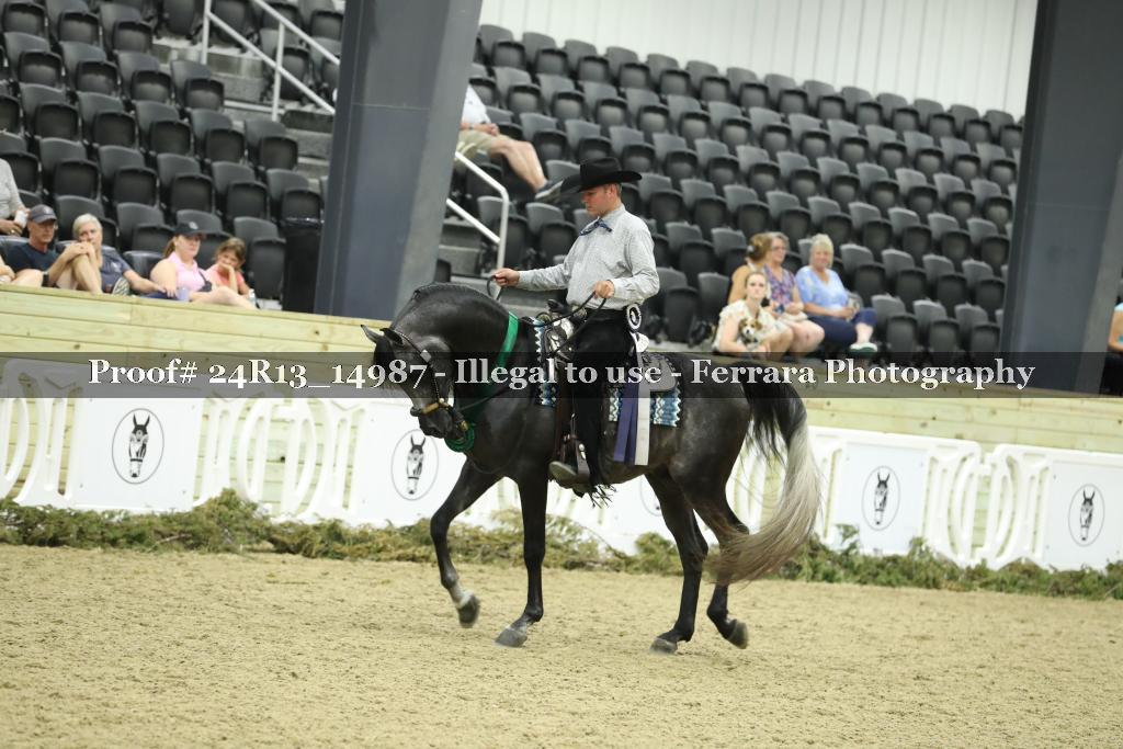 Proof 24R13_14987