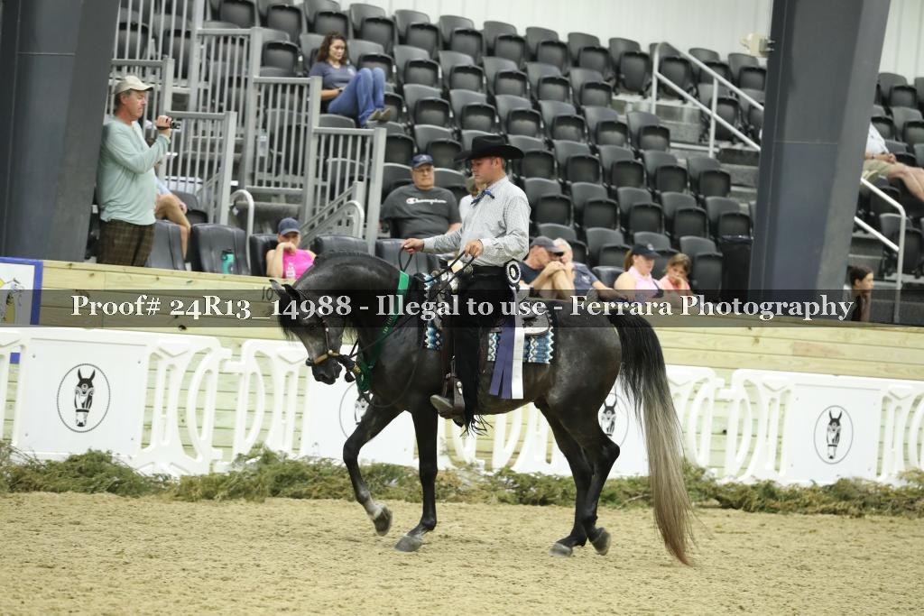 Proof 24R13_14988