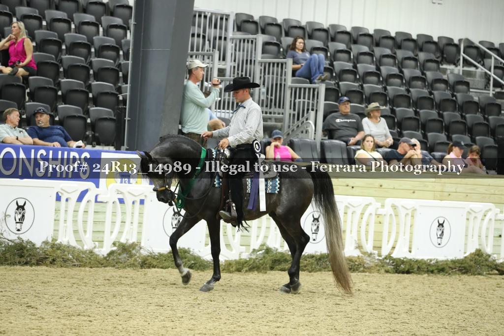 Proof 24R13_14989
