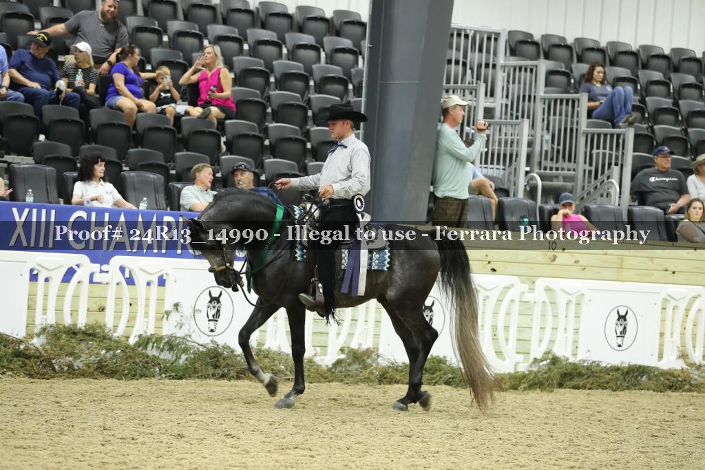 Proof 24R13_14990