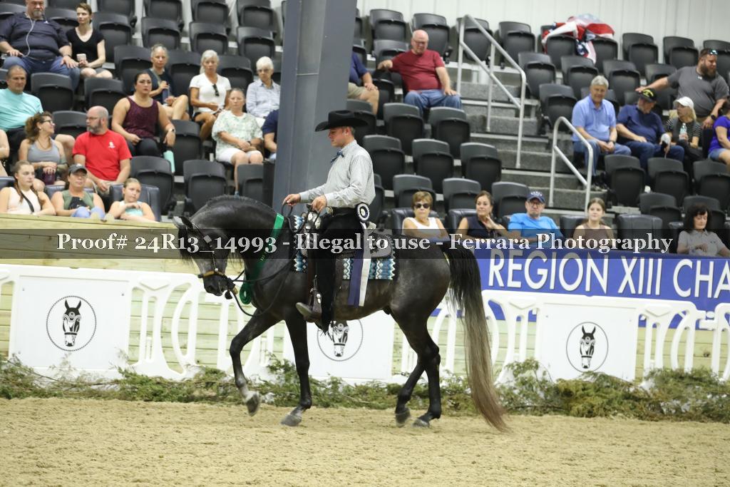 Proof 24R13_14993