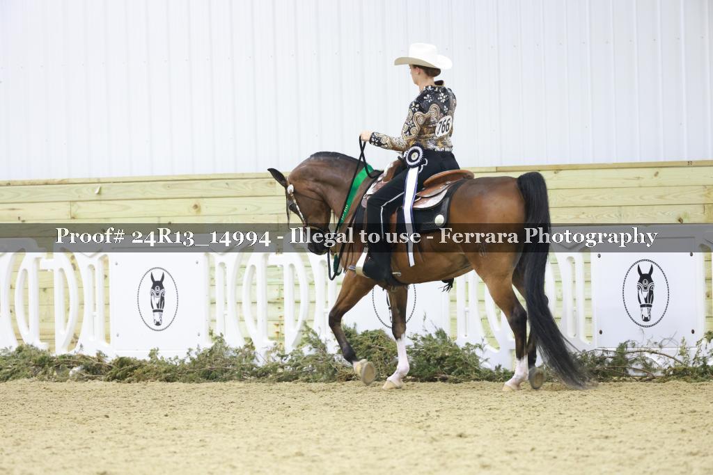 Proof 24R13_14994