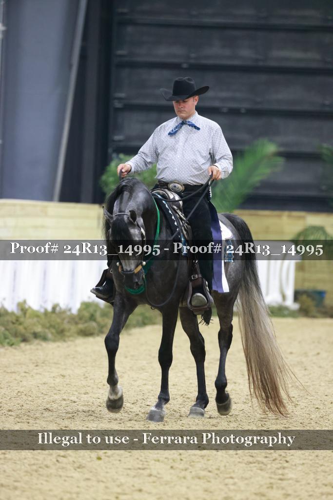 Proof 24R13_14995