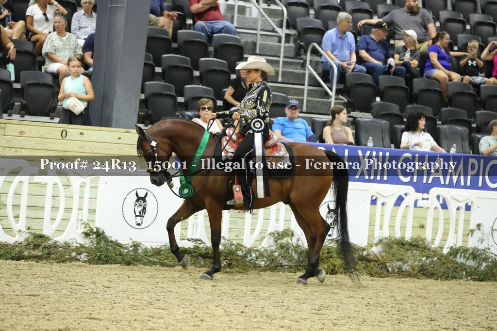 Proof 24R13_15001