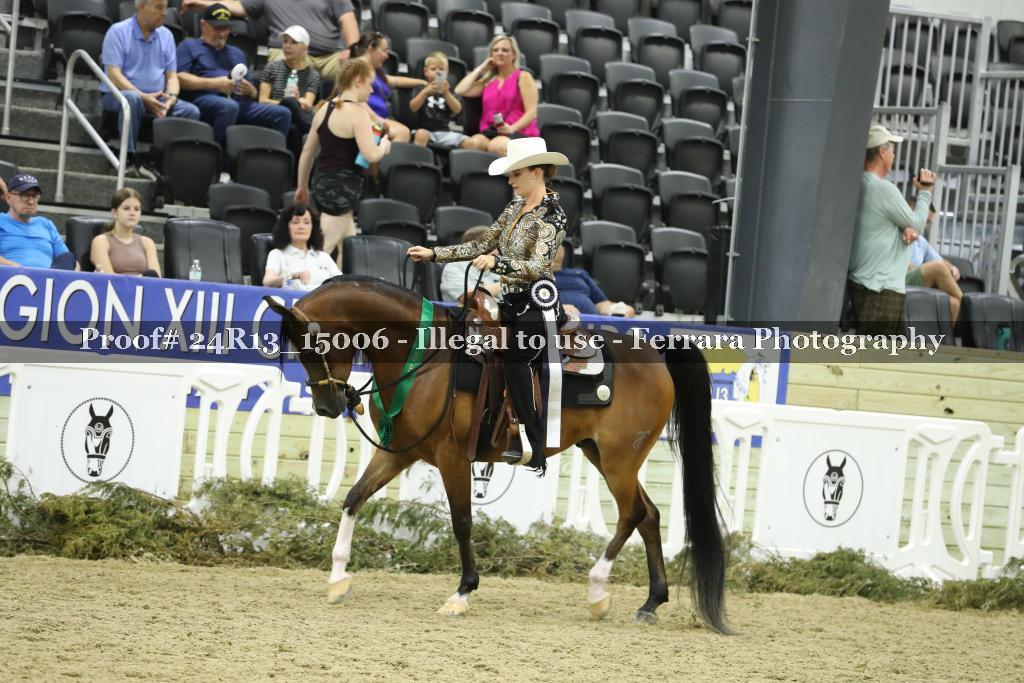 Proof 24R13_15006
