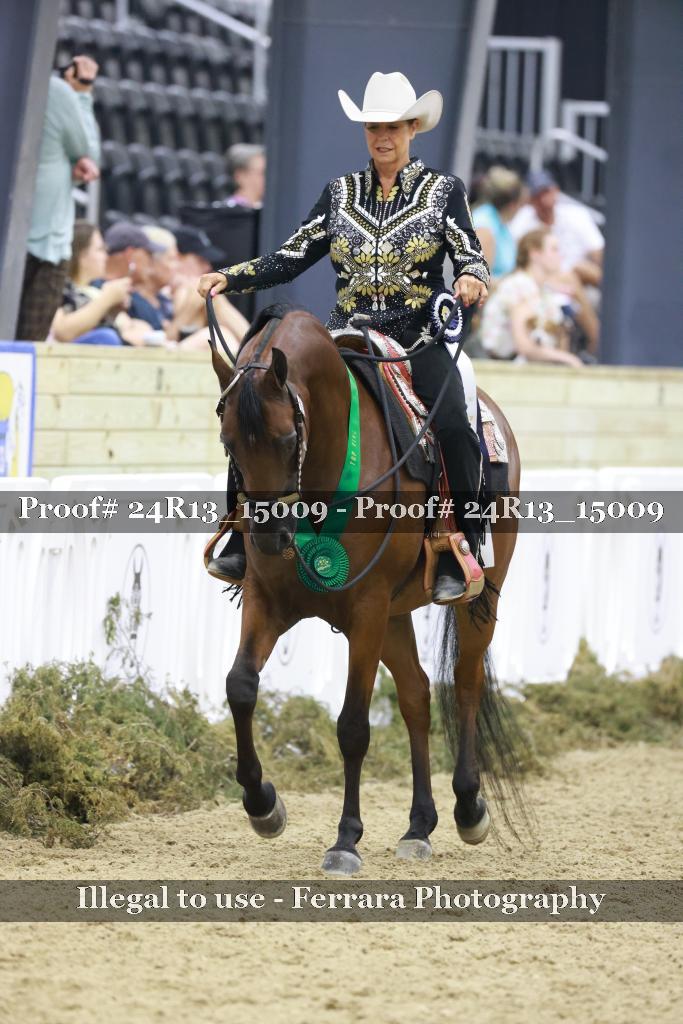 Proof 24R13_15009