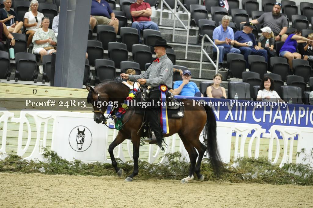 Proof 24R13_15025