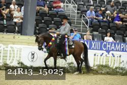 24R13_15025 proof