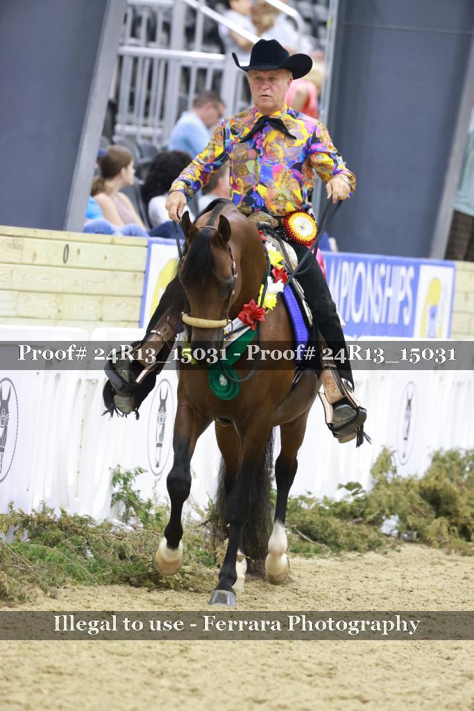 Proof 24R13_15031