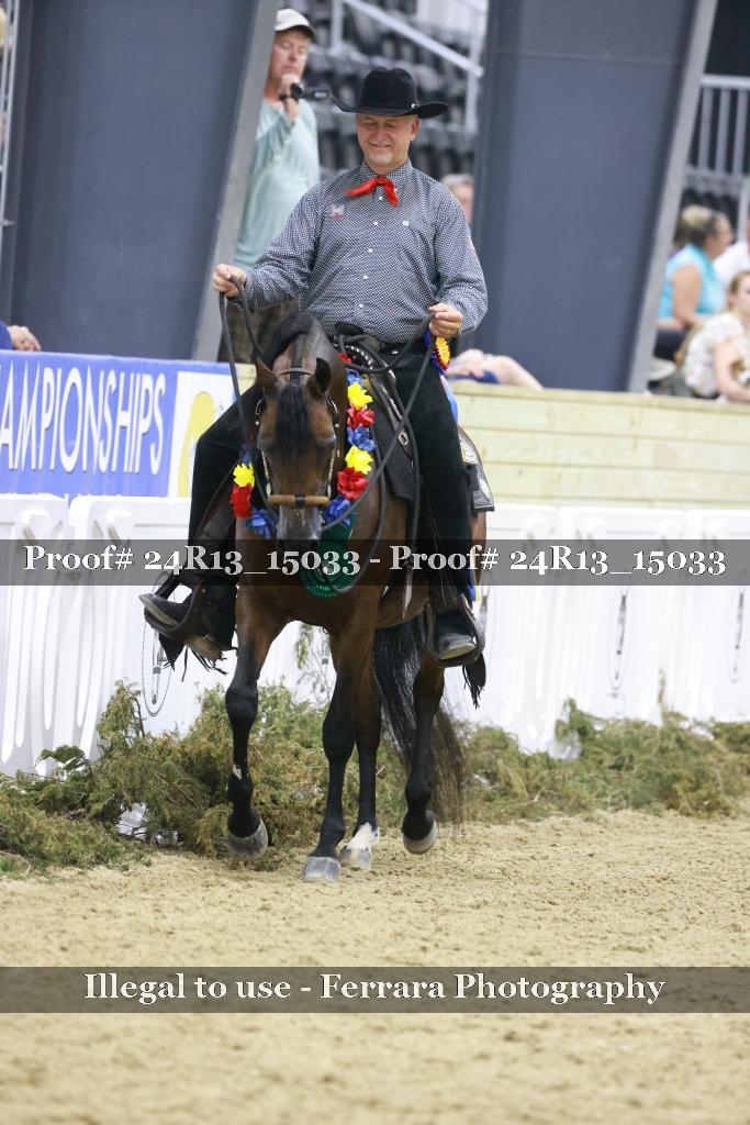 Proof 24R13_15033
