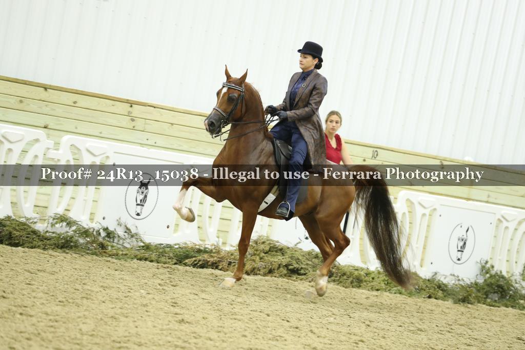 Proof 24R13_15038