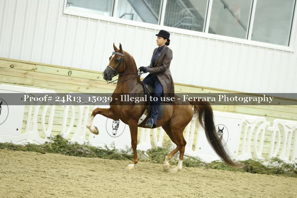Proof 24R13_15039