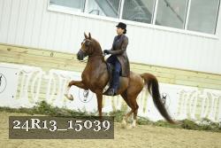 24R13_15039 proof