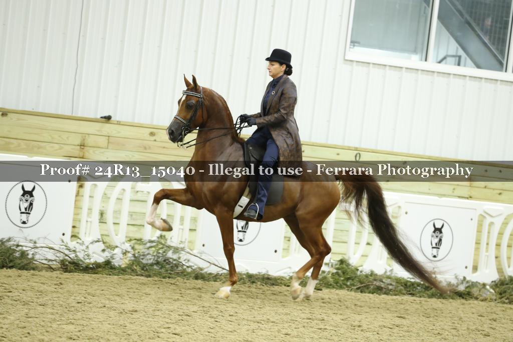 Proof 24R13_15040