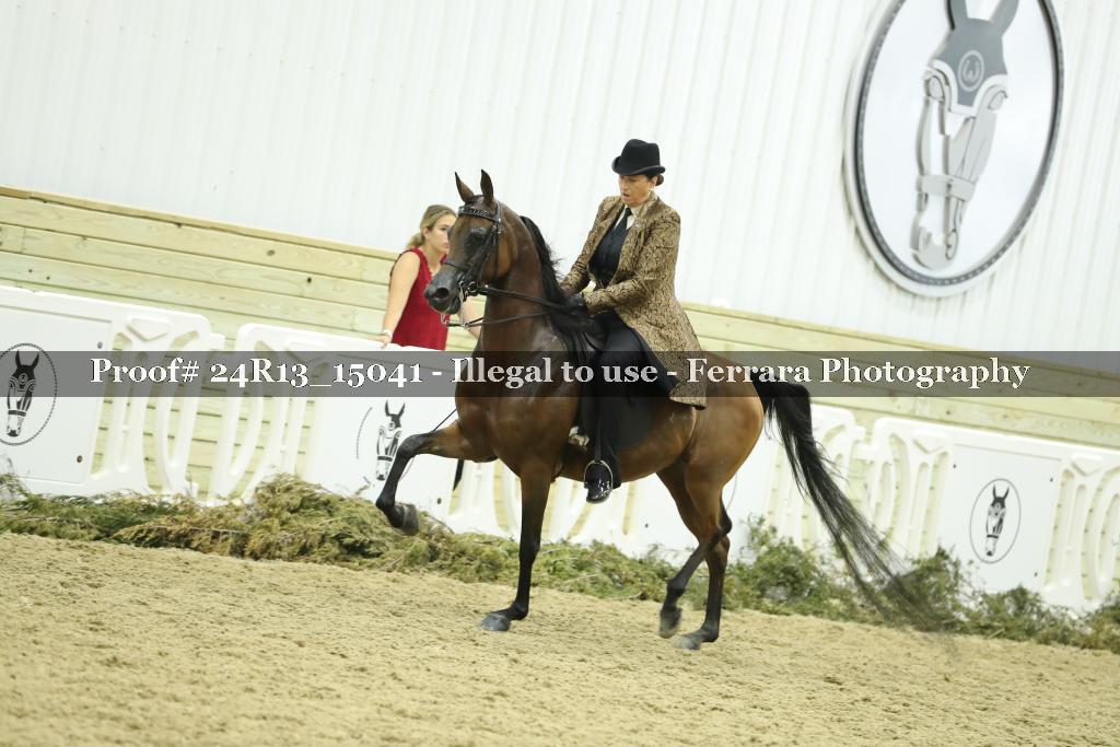 Proof 24R13_15041