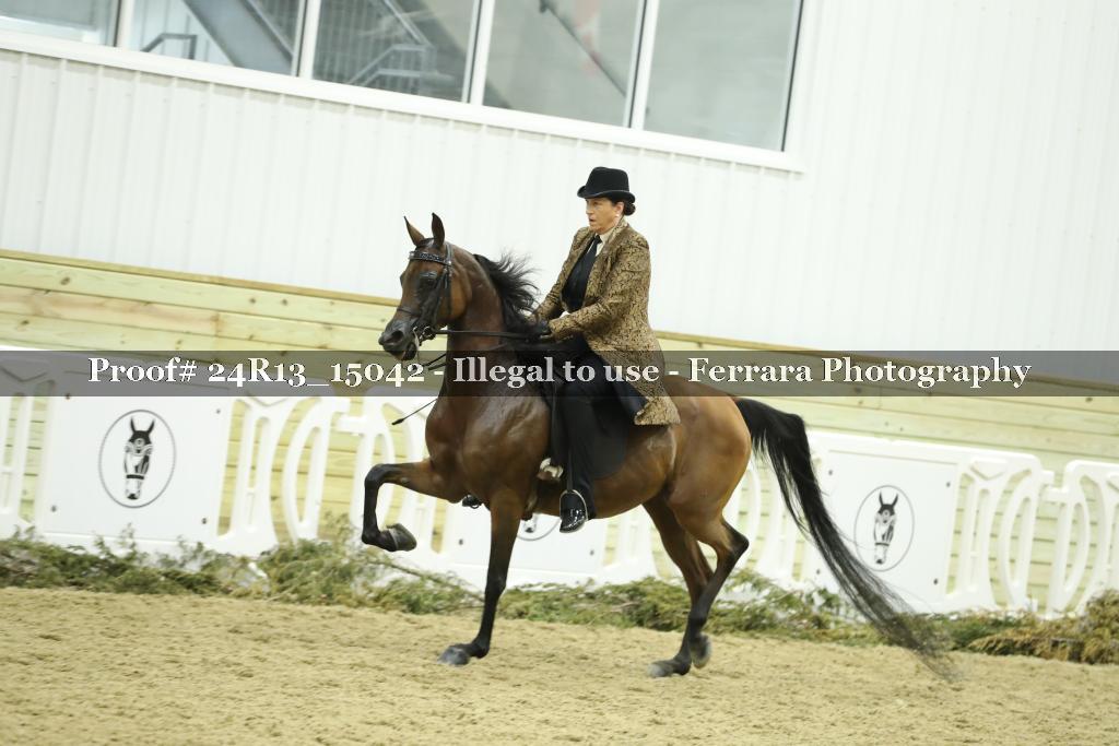 Proof 24R13_15042