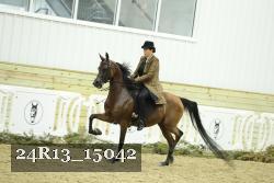 24R13_15042 proof