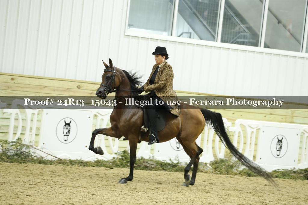 Proof 24R13_15043