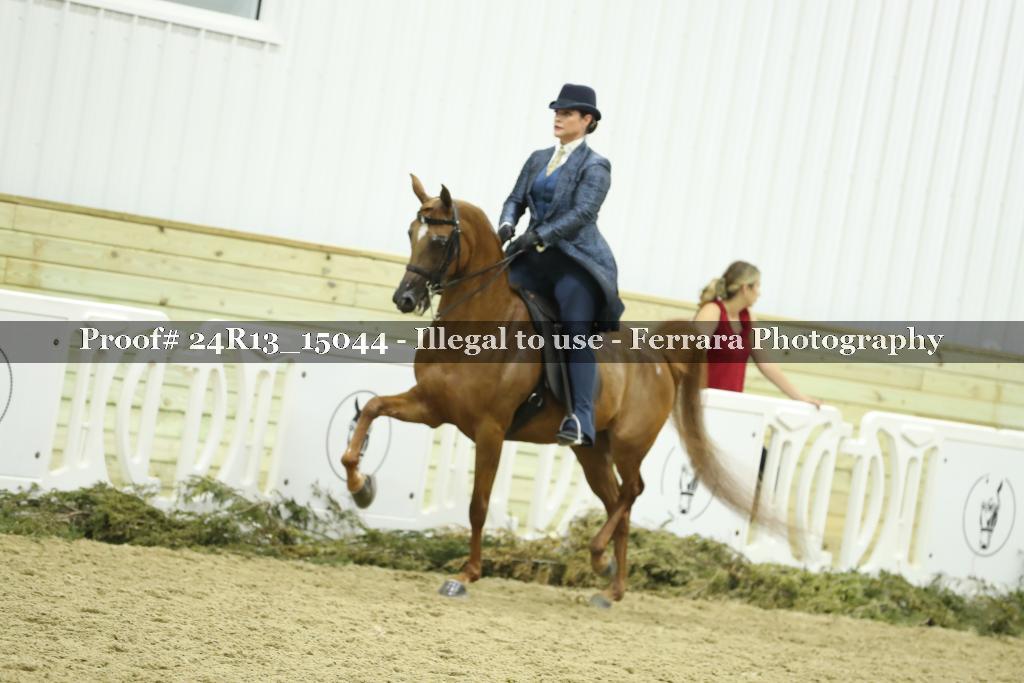 Proof 24R13_15044