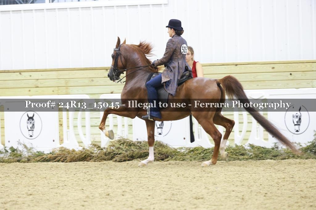 Proof 24R13_15045