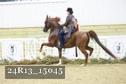 24R13_15045 proof