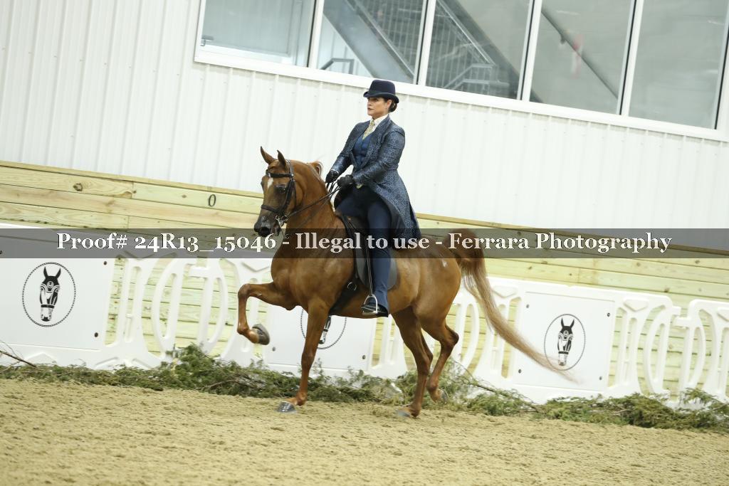 Proof 24R13_15046