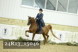 24R13_15046 proof