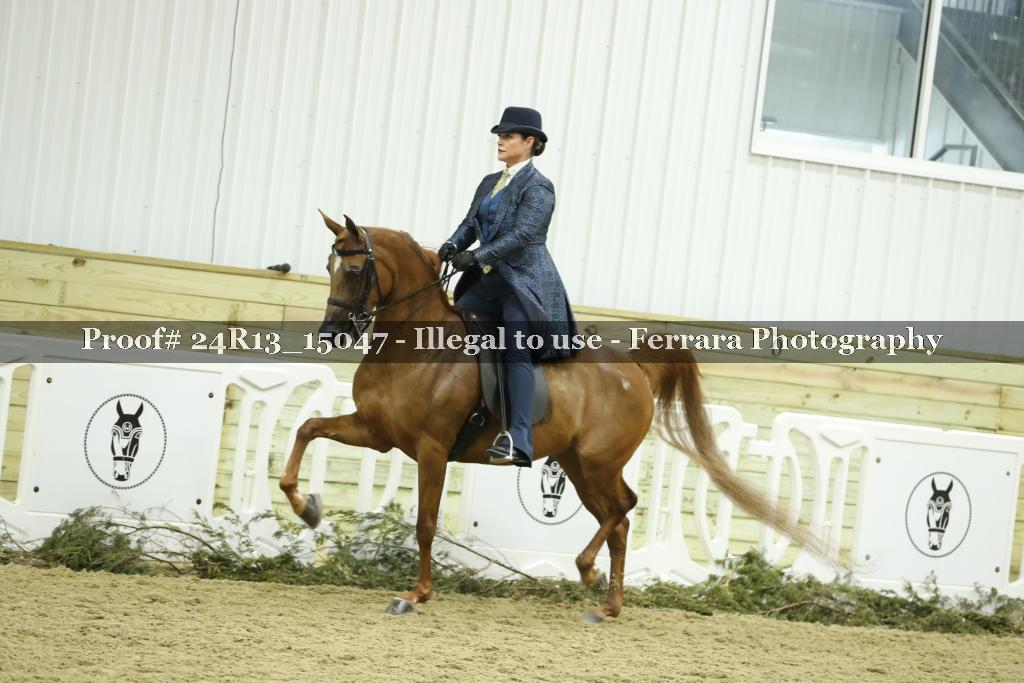 Proof 24R13_15047