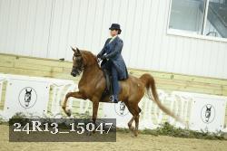 24R13_15047 proof