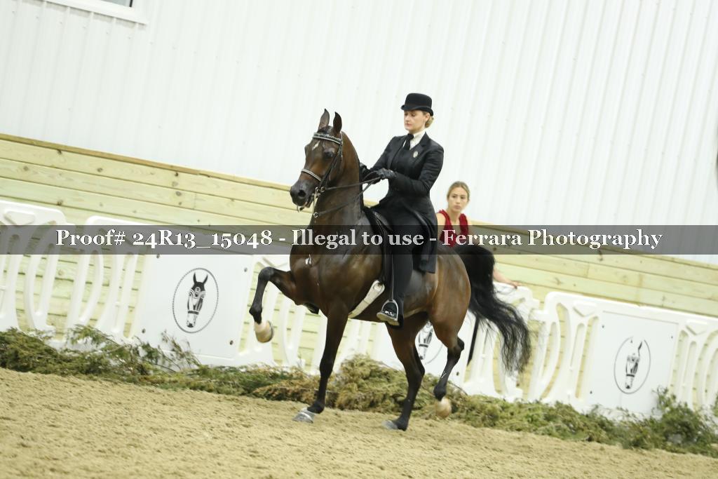 Proof 24R13_15048