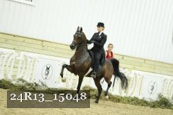 24R13_15048 proof